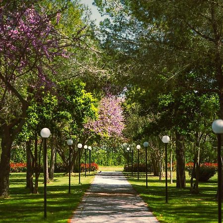 Green Park Divjake Esterno foto