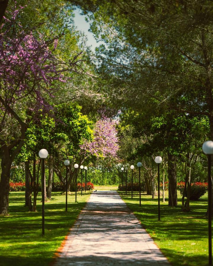 Green Park Divjake Esterno foto
